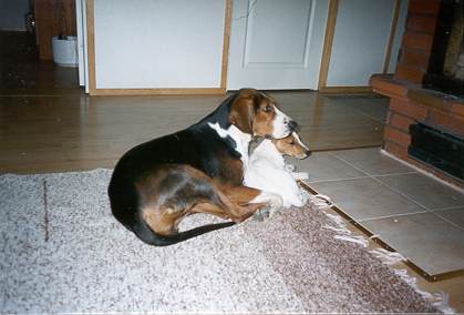Emma_Aapo_2