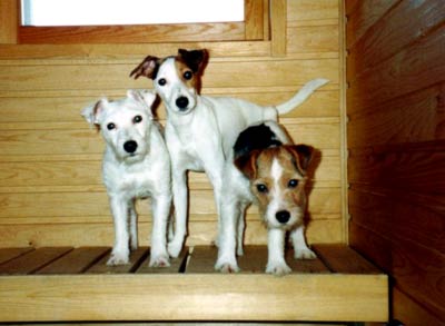 sauna_girls