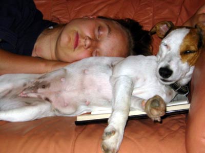 sleepy_sleepers