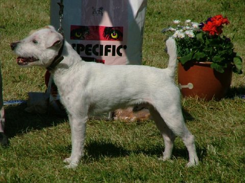 eddie_20030