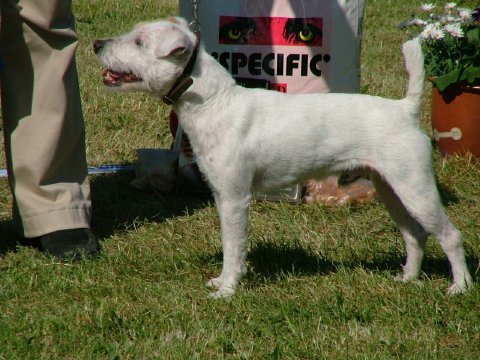 eddie_20031