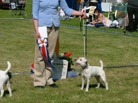 eddie_20033