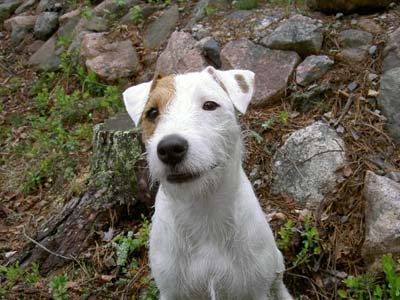 ukko1