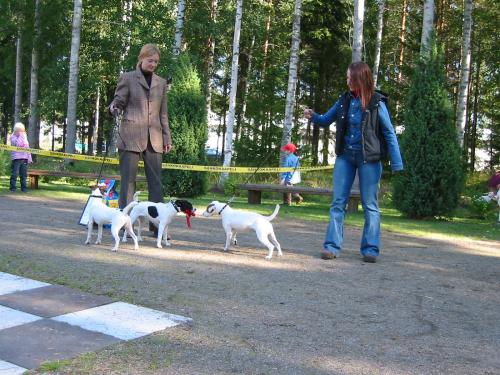 kasvattajaluokka