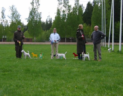 suomalaiset