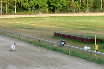 120-2094_IMG