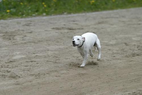 oona
